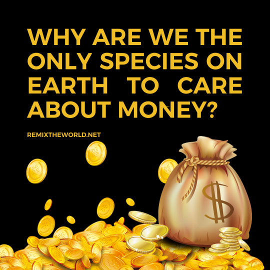 WHY ARE WE THE ONLY SPECIES TO CARE ABOUT MONEY?