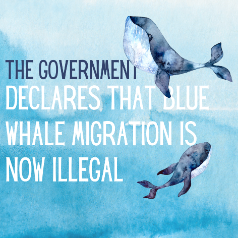 BLUE WHALE MIGRATION IS NOW ILLEGAL